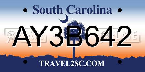 AY3B642 South Carolina License Plate