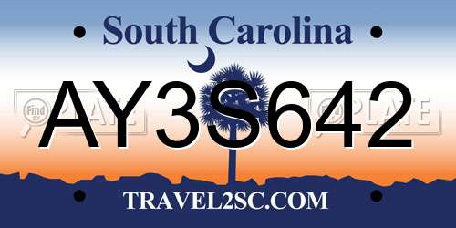 AY3S642 South Carolina License Plate