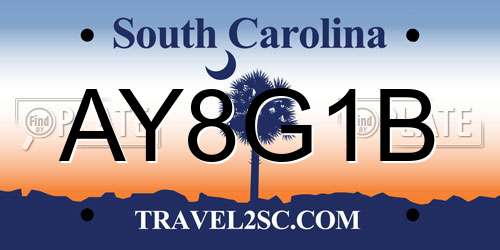 AY8G1B South Carolina License Plate