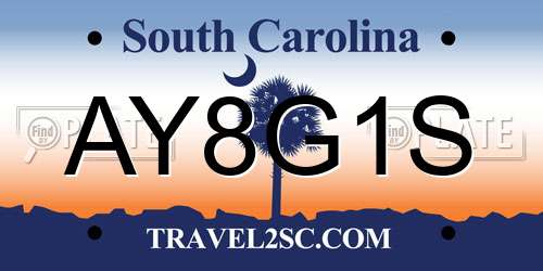 AY8G1S South Carolina License Plate
