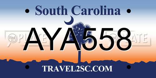 AYA558 South Carolina License Plate