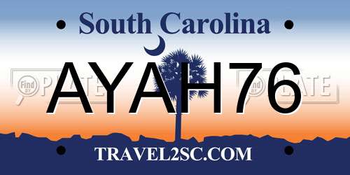 AYAH76 South Carolina License Plate