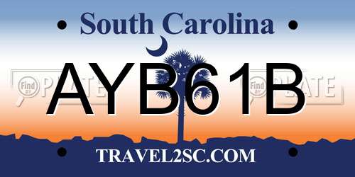 AYB61B South Carolina License Plate