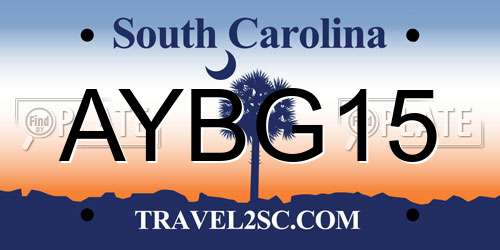 AYBG15 South Carolina License Plate