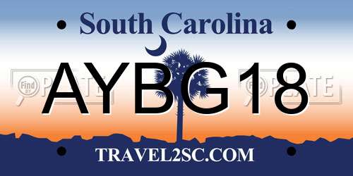 AYBG18 South Carolina License Plate