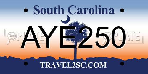 AYE250 South Carolina License Plate