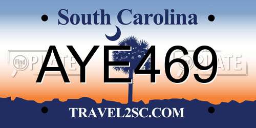 AYE469 South Carolina License Plate