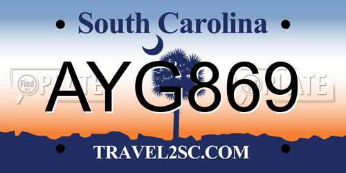 AYG869 South Carolina License Plate
