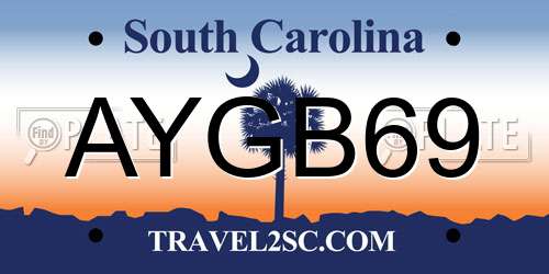 AYGB69 South Carolina License Plate