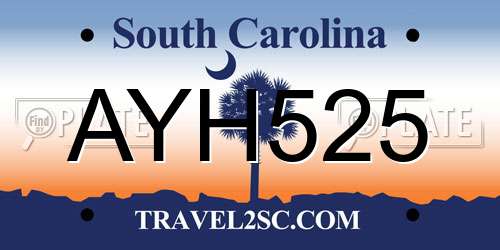 AYH525 South Carolina License Plate