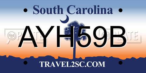 AYH59B South Carolina License Plate