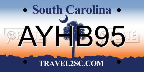 AYHB95 South Carolina License Plate