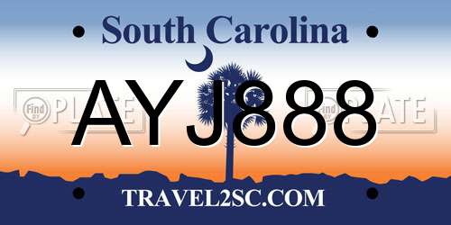AYJ888 South Carolina License Plate
