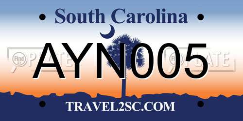 AYN005 South Carolina License Plate