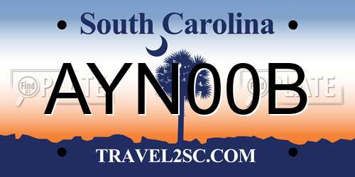 AYN00B South Carolina License Plate