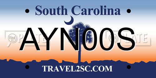 AYN00S South Carolina License Plate