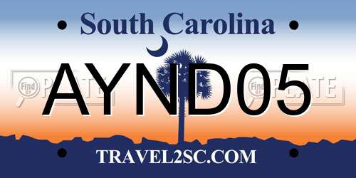 AYND05 South Carolina License Plate
