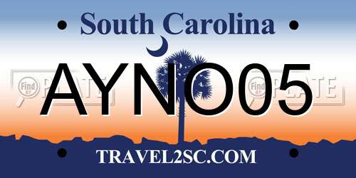 AYNO05 South Carolina License Plate