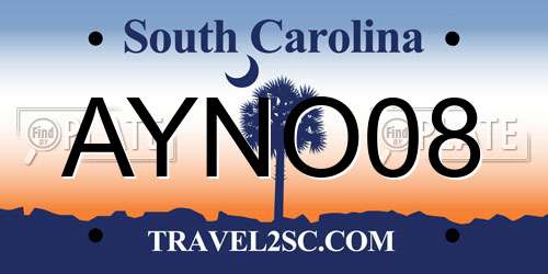 AYNO08 South Carolina License Plate