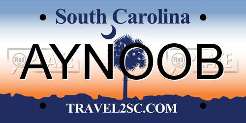 AYNOOB South Carolina License Plate