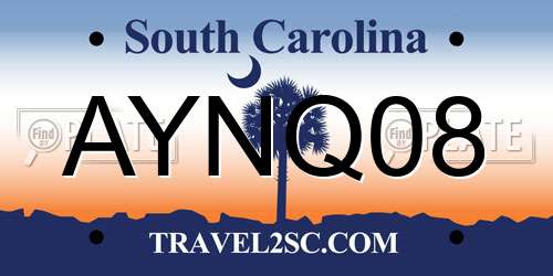 AYNQ08 South Carolina License Plate