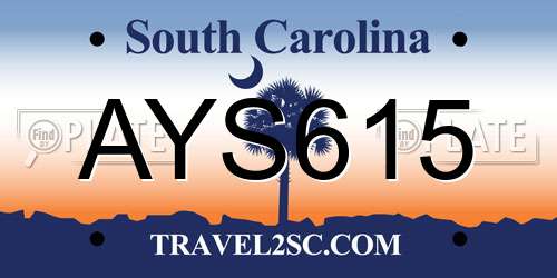 AYS615 South Carolina License Plate