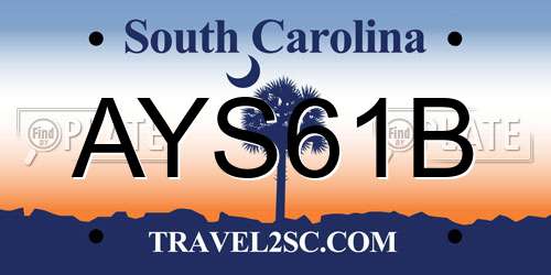AYS61B South Carolina License Plate