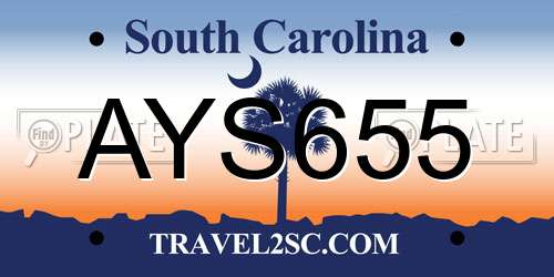 AYS655 South Carolina License Plate