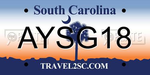 AYSG18 South Carolina License Plate
