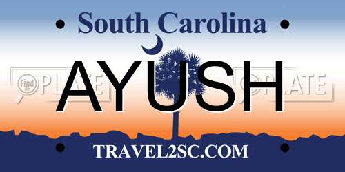 AYUSH South Carolina License Plate
