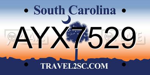 AYX7529 South Carolina License Plate