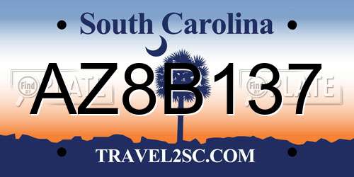 AZ8B137 South Carolina License Plate