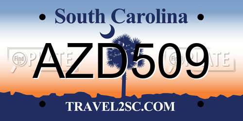 AZD509 South Carolina License Plate