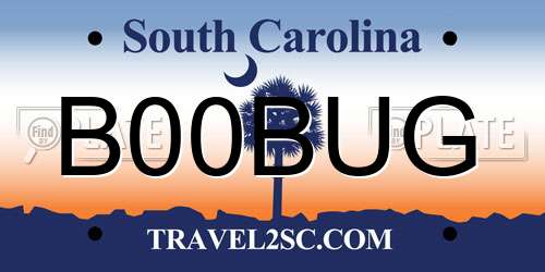 B00BUG South Carolina License Plate