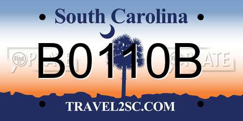 B0110B South Carolina License Plate