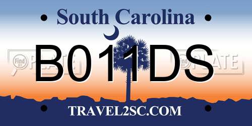 B011DS South Carolina License Plate