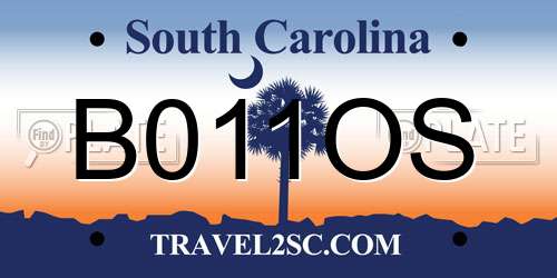 B011OS South Carolina License Plate