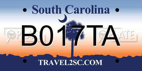 B017TA South Carolina License Plate