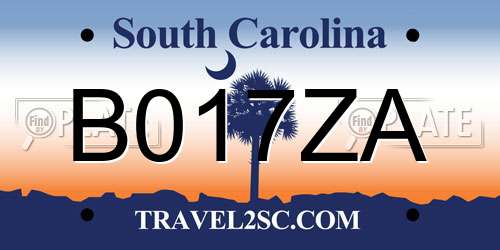 B017ZA South Carolina License Plate