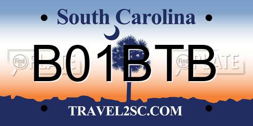 B01BTB South Carolina License Plate