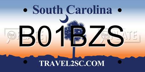 B01BZS South Carolina License Plate