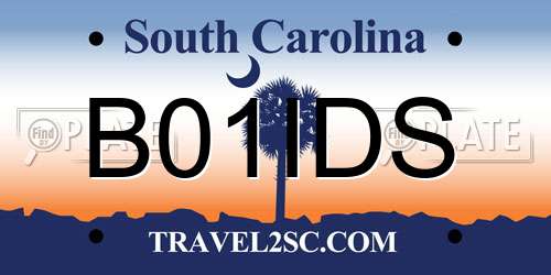 B01IDS South Carolina License Plate