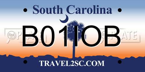 B01IOB South Carolina License Plate