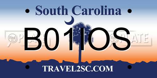 B01IOS South Carolina License Plate