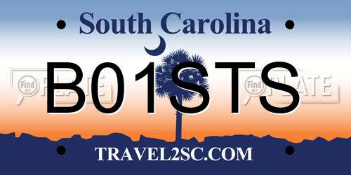 B01STS South Carolina License Plate