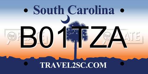B01TZA South Carolina License Plate