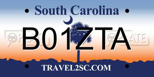 B01ZTA South Carolina License Plate