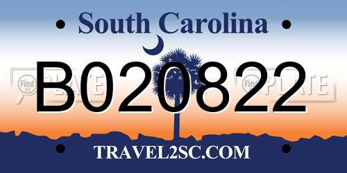 B020822 South Carolina License Plate