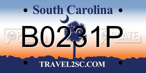 B0231P South Carolina License Plate