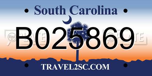 B025869 South Carolina License Plate